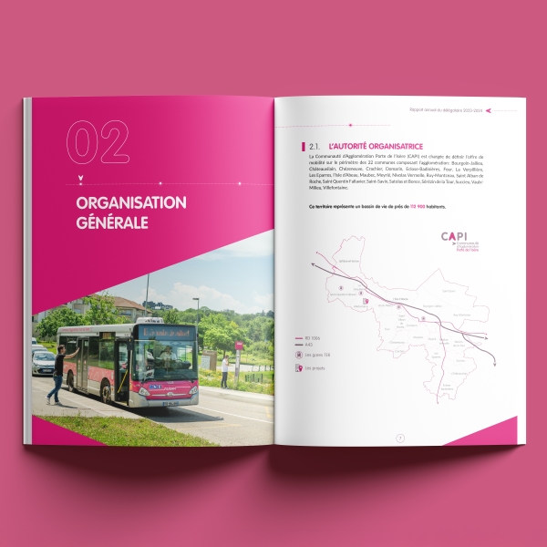 Graphic Swing - Graphic Swing - double page du rapport