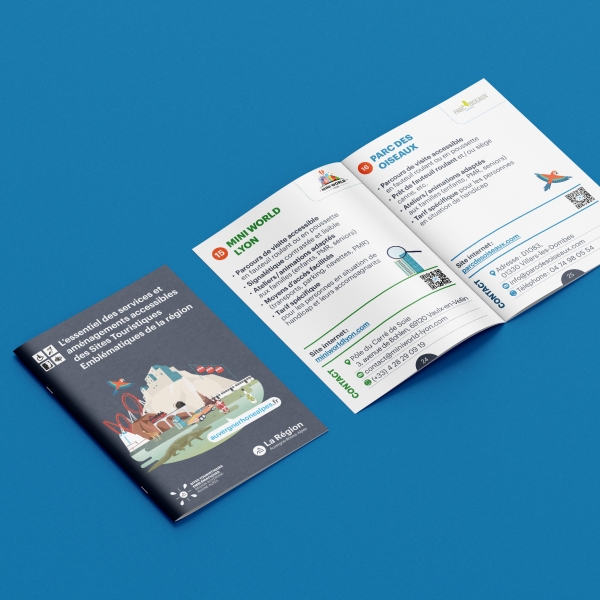 Graphic Swing - Graphic Swing  - combo 